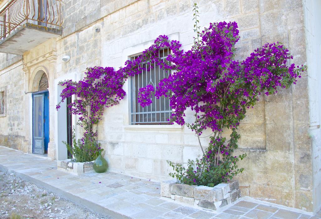 Vila Casa Del Sud Ostuni Exteriér fotografie